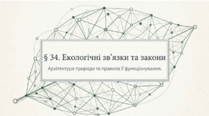 Презентація "Екологічні зв’язки. Екологічні закони" 11 клас