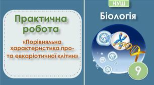 Практична робота №2 «Порівняльна характеристика про- та евкаріотичної клітин». Біологія 9 клас НУШ