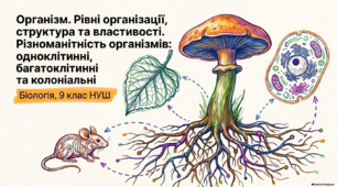 Презентація (ІІ частини), розробка уроку  на тему "Організм. Рівні організації, структура та властивості. Різноманітність організмів: одноклітинні, багатоклітинні та колоніальні". 9 клас НУШ. Соболь В.І.