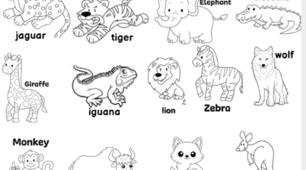 Animals at the Zoo 🦁