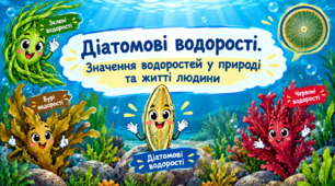 Біологія 7 клас. Діатомові водорості. Значення водоростей у природі та житті людини