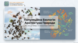 Презентація "Популяції. Класифікація популяцій" 11 клас