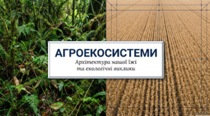 Презентація "Агроекосистеми, особливості структури й функціонування" 11 клас