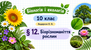 Біорізноманіття рослин. Презентація, інфографіка, робочий аркуш (Автор: Андерсон О. А.)
