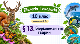 Біорізноманіття тварин. Презентація, інфографіка, робочий аркуш (Автор: Андерсон О. А.)