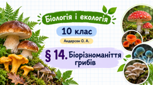 Біорізноманіття грибів. Презентація, інфографіка, робочий аркуш (Автор: Андерсон О. А.)
