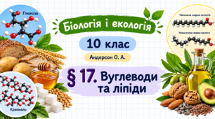 Вуглеводи та ліпіди. Презентація, інфографіка, робочий аркуш (Автор: Андерсон О. А.)