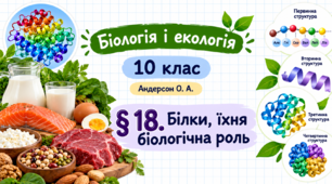 Білки, їхня біологічна роль. Презентація, інфографіка, робочий аркуш (Автор: Андерсон О. А.)