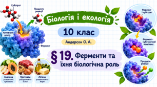 Ферменти та їхня біологічна роль. Презентація, інфографіка, робочий аркуш (Автор: Андерсон О. А.)
