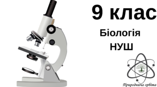 Методи дослідження клітин. Типи мікроскопії. 