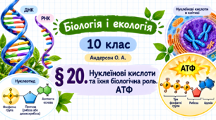 Нуклеїнові кислоти та їхня біологічна роль. АТФ. Презентація, інфографіка, робочий аркуш (Автор: Андерсон О. А.)