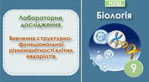 Лабораторне дослідження «Вивчення структурно-функціональної різноманітності клітин евкаріотів». Біологія 9 клас НУШ