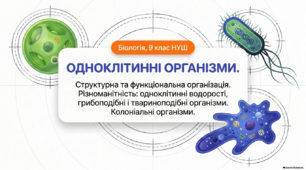 Презентація, розробка уроку та робочий аркуш на тему "Одноклітинні організми. Структурна та функціональна організація. Різноманітність: одноклітинні водорості, грибоподібні і твариноподібні організми. Колоніальні організми". 9 клас НУШ. Соболь В.І.