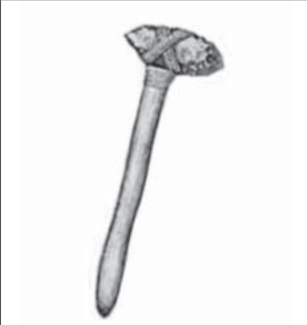1100pvun-5119-307x325.png