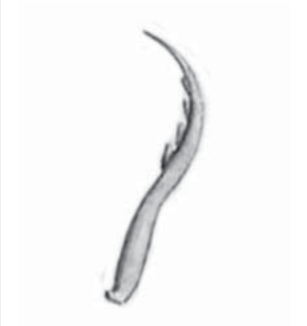 1100pvup-643f-307x326.png