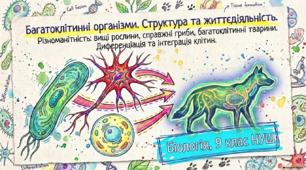Презентація, розробка уроку та робочий аркуш практичної роботи №6 на тему "Багатоклітинні організми. Структура та життєдіяльність. Різноманітність: вищі рослини, справжні гриби, багатоклітинні тварини. Диференціація та інтеграція клітин". 9 клас НУШ.
