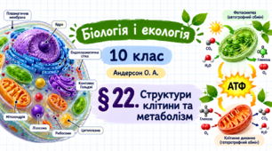 Структури клітини та метаболізм. Презентація, інфографіка, робочий аркуш (Автор: Андерсон О. А.)