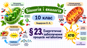 Енергетичне забезпечення процесів метаболізму. Презентація, інфографіка, робочий аркуш (Автор: Андерсон О. А.)