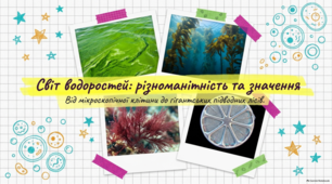 Водорості презентація з біології 7 клас НУШ