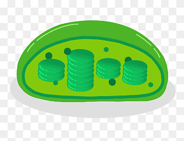 1100pyax-298d-360x276.png