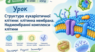 Структура еукаріотичної клітини: клітинна мембрана. Надмембранні комплекси клітини.