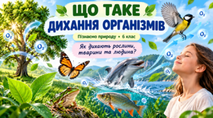 Презентація «Що таке дихання організмів»  Пізнаємо природу, 6 клас