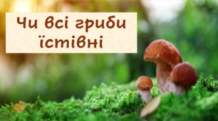 Чи всі гриби їстівні