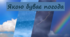 Якою буває погода