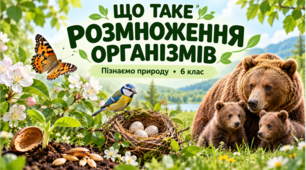 Презентація «Що таке розмноження організмів»  Пізнаємо природу. 6 клас.НУШ за підручником Біди