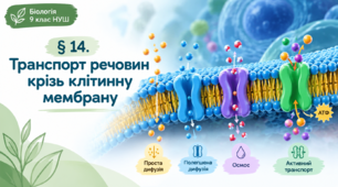 §14. Транспорт речовин крізь клітинну мембрану