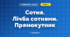 Сотня. Лічба сотнями. Прямокутник (3 клас, Математика, Заїка)