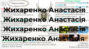 Ментальна карта або кластер на тему  "павукоподібні"