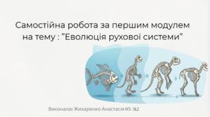 "Еволюція рухової системи”