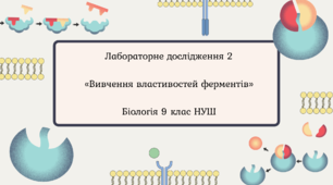 🧪 Лабораторне дослідження 2 «Вивчення властивостей ферментів» 9 клас НУШ