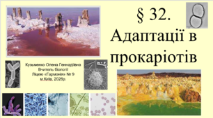 § 32. Адаптації в прокаріотів (11 проф.)
