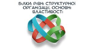 Презентація: "Білки: рівні структурної організації, основні  властивості" біологія 9 клас НУШ