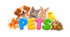 "Pets" флешкартки