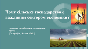 презентація до теми: "Чому сільське господарство є важливим сектором економіки" географія  9 клас (нуш)