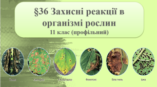 §36 Захисні реакції в організмі рослин (11 проф.)