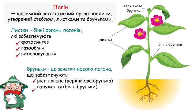 1100qwsd-8fa7-837x471.png