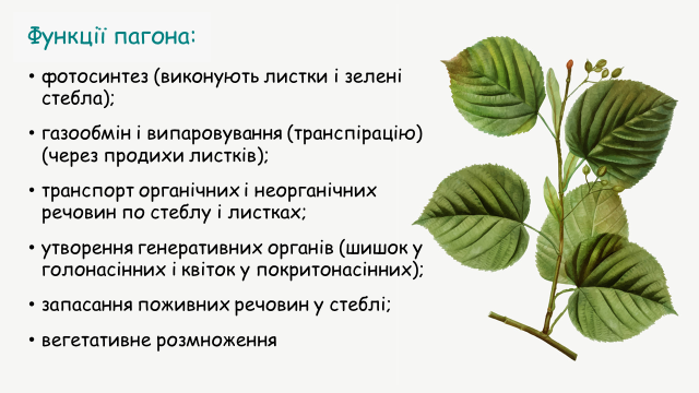 1100qwsw-acd7-940x529.png