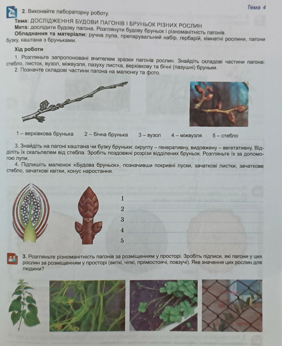 1100qx94-1743-940x1153.png