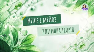 Мітоз і мейоз. Клітинна теорія