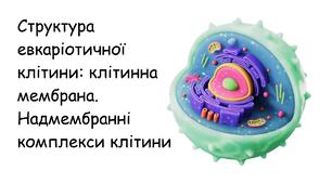 Презентація: "Структура евкаріотичної клітини: клітинна  мембрана. Надмембранні комплекси клітини" біологія 9 клас НУШ