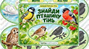 ДИДАКТИЧНА ГРА «ЗНАЙДИ ПТАШИНУ ТІНЬ» 🐦