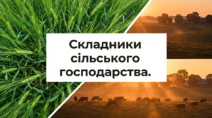 Складники сільського господарства.