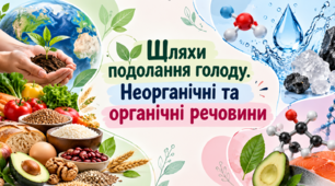 Шляхи подолання голоду. Неорганічні та органічні речовини