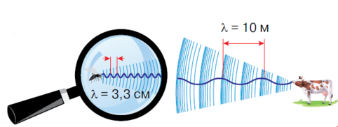 1100rcxp-d619-482x182.png