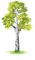 1100rdbf-6b68-120x206.png