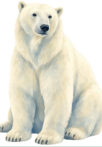 1100rstp-7e51-147x212.png